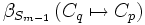 \beta_{ S_{m-1} } \left( C_q \mapsto C_p \right)